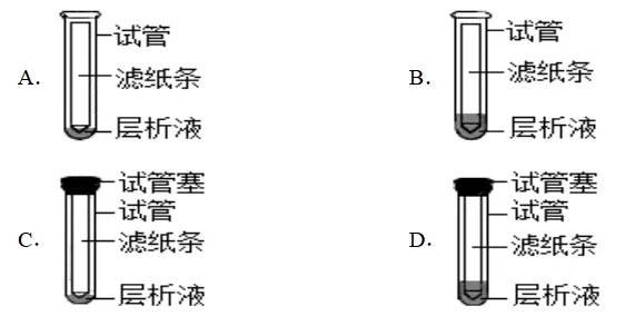 山东省2026年夏季普通高中学业水平合格考试生物学仿真模拟试题和答案02(附word下载) ⊙-第10张图片-四季读书网 山东省2026年夏季普通高中学业水平合格考试生物学仿真模拟试题和答案02(附word下载) ⊙-第10张图片-四季读书网