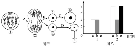 山东省2026年夏季普通高中学业水平合格考试生物学仿真模拟试题和答案02(附word下载) ⊙-第16张图片-四季读书网 山东省2026年夏季普通高中学业水平合格考试生物学仿真模拟试题和答案02(附word下载) ⊙-第16张图片-四季读书网