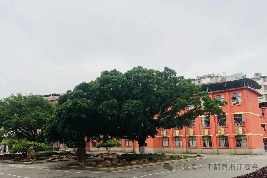 中考巅峰佳绩 商会荣誉担当-第7张图片-四季读书网 中考巅峰佳绩 商会荣誉担当-第7张图片-四季读书网