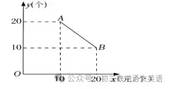 中考数学:二次函数实际应用必考【最值问题】含答案解析-第10张图片-四季读书网