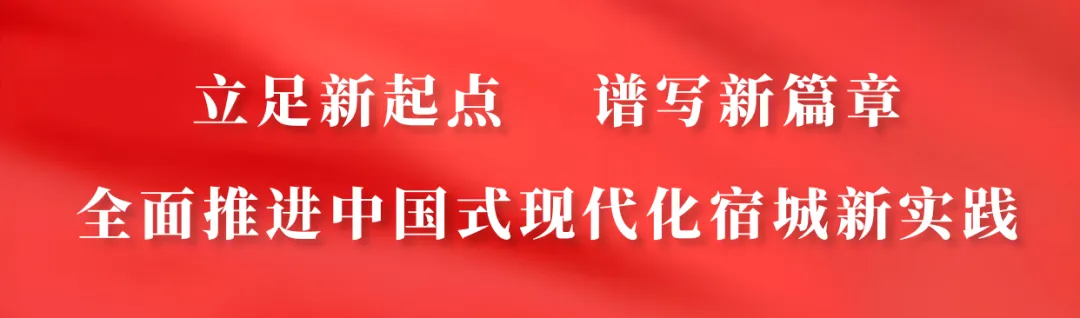 明天上午10点,中考查分!-第1张图片-四季读书网 明天上午10点,中考查分!-第1张图片-四季读书网