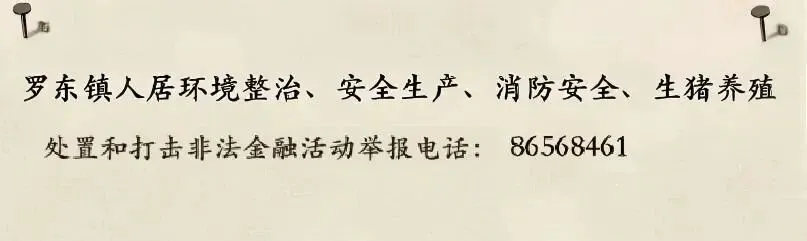 中考家长必看!2026泉州中招查分、录取、放弃录取全套流程一览-第9张图片-四季读书网 中考家长必看!2026泉州中招查分、录取、放弃录取全套流程一览-第9张图片-四季读书网