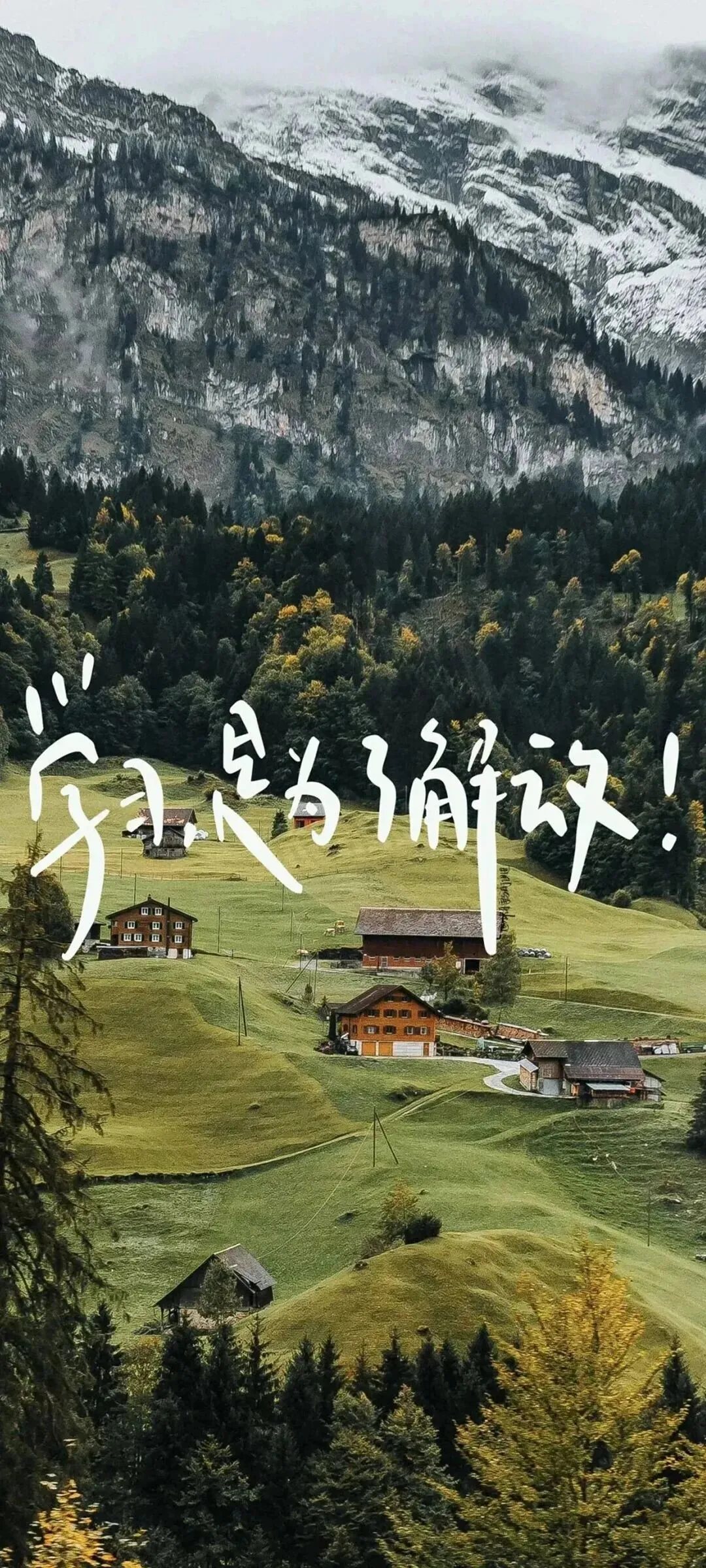 中考前变动四方面---2027中考语文改革:老施给27届孩子的几句掏心窝子话-第2张图片-四季读书网 中考前变动四方面---2027中考语文改革:老施给27届孩子的几句掏心窝子话-第2张图片-四季读书网