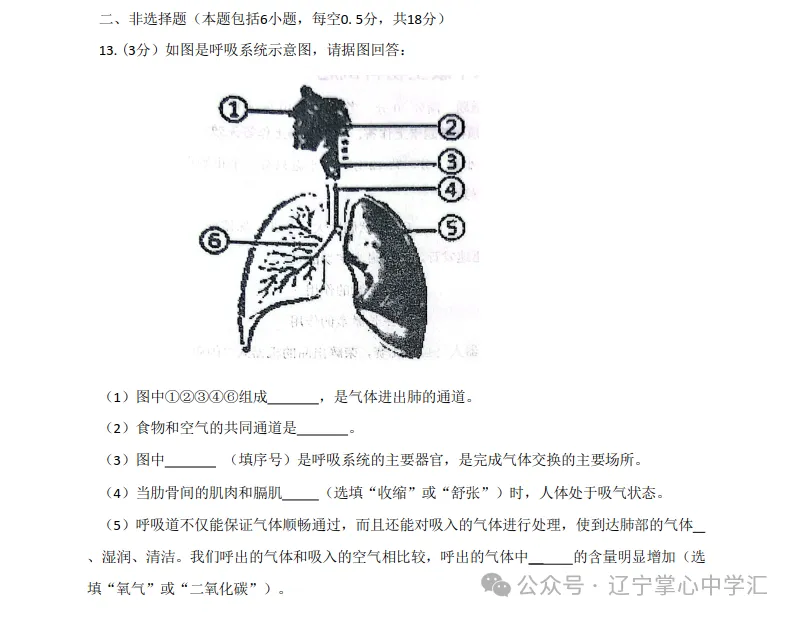 2026年7月抚顺新宾县七年期末试卷+答案-第66张图片-四季读书网