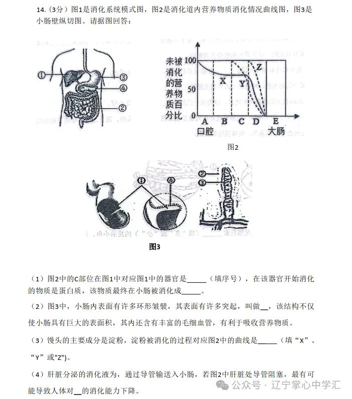 2026年7月抚顺新宾县七年期末试卷+答案-第67张图片-四季读书网