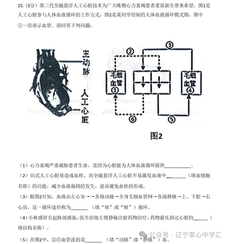 2026年7月抚顺新宾县七年期末试卷+答案-第68张图片-四季读书网