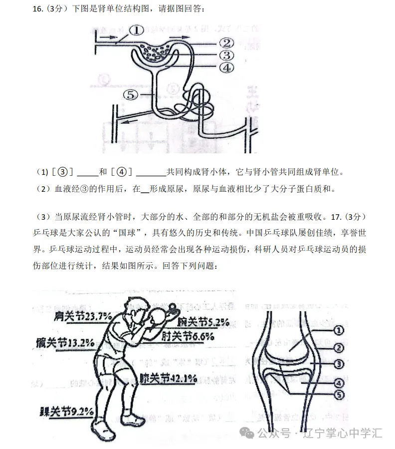 2026年7月抚顺新宾县七年期末试卷+答案-第69张图片-四季读书网