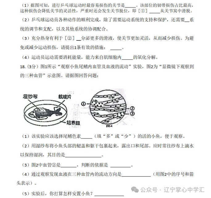 2026年7月抚顺新宾县七年期末试卷+答案-第70张图片-四季读书网