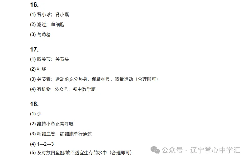 2026年7月抚顺新宾县七年期末试卷+答案-第72张图片-四季读书网