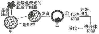 高考真题‖2026年贵州省普通高中学业水平选择性考试生物学 [试卷末附网络版答案]-第6张图片-四季读书网