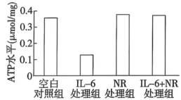 高考真题‖2026年贵州省普通高中学业水平选择性考试生物学 [试卷末附网络版答案]-第7张图片-四季读书网