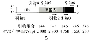 高考真题‖2026年贵州省普通高中学业水平选择性考试生物学 [试卷末附网络版答案]-第10张图片-四季读书网