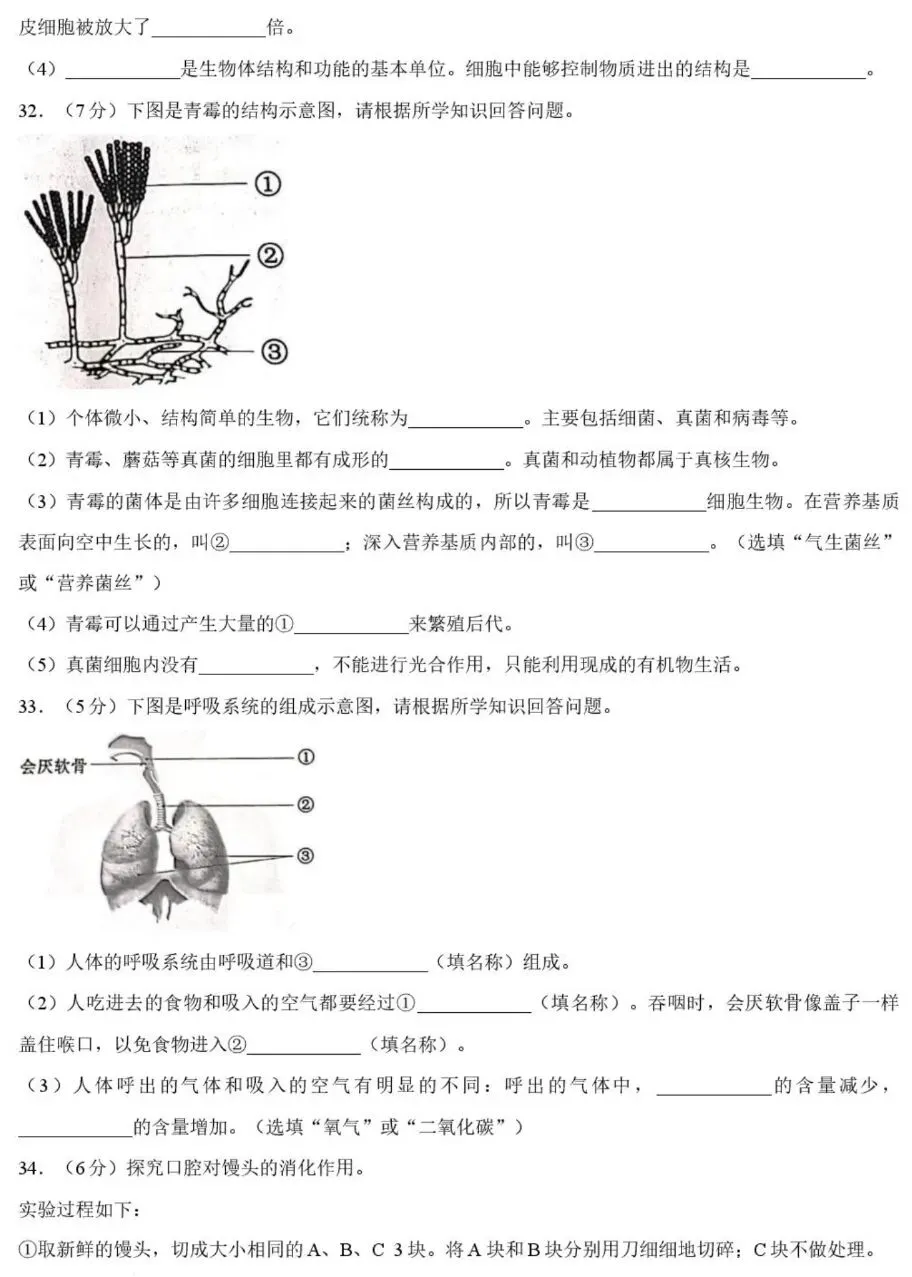 中考试卷:2026年黑龙江绥化市初中学业水平考试生物学试卷+参考答案-第5张图片-四季读书网 中考试卷:2026年黑龙江绥化市初中学业水平考试生物学试卷+参考答案-第5张图片-四季读书网