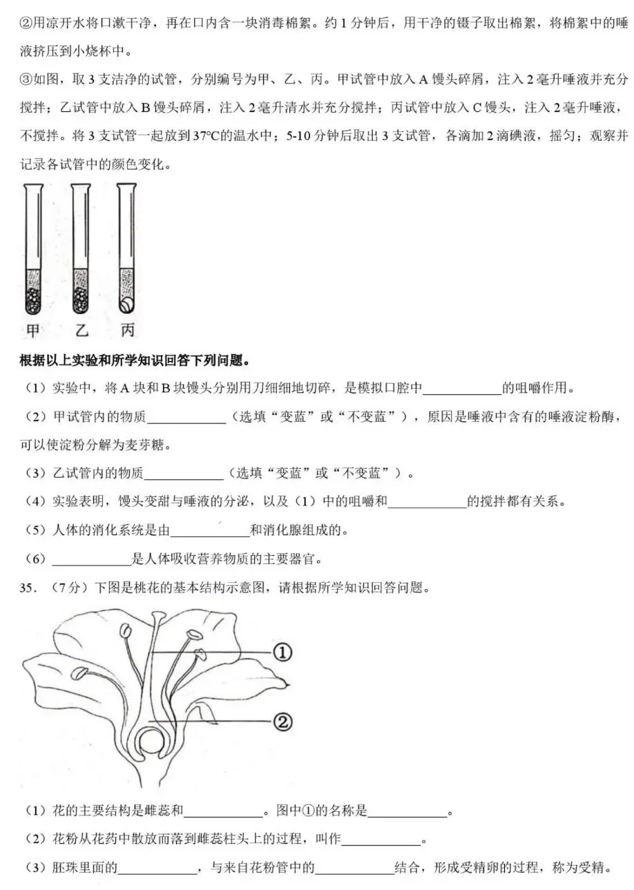 中考试卷:2026年黑龙江绥化市初中学业水平考试生物学试卷+参考答案-第6张图片-四季读书网 中考试卷:2026年黑龙江绥化市初中学业水平考试生物学试卷+参考答案-第6张图片-四季读书网