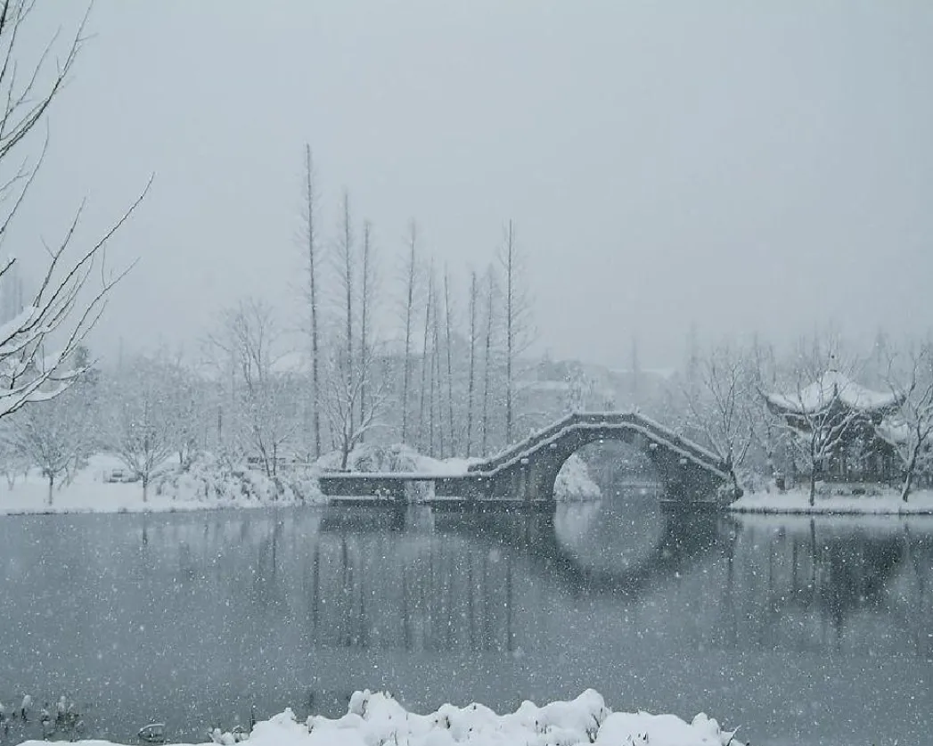 中考诗文背诵默写:湖心亭看雪-第3张图片-四季读书网
