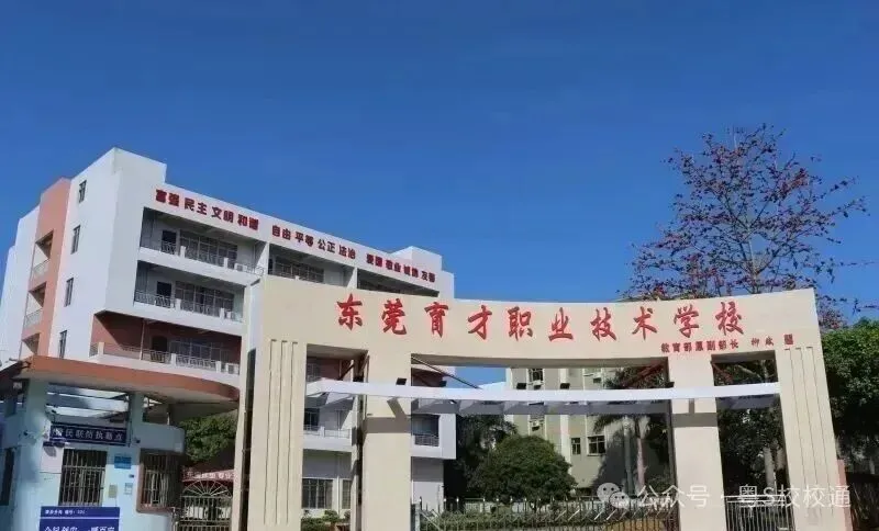 中考分流必备|东莞10所优质中职-第7张图片-四季读书网