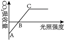 2026年山东省夏季普通高中学业水平合格考试生物仿真模拟试题和答案01(附word下载) ⊙-第11张图片-四季读书网