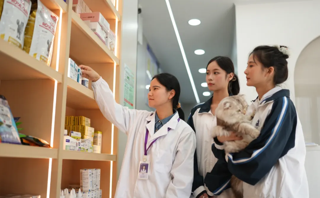 中考失利不用慌!2026 中职十大黄金专业盘点,选对专业,孩子赢在职业起跑线-第13张图片-四季读书网 中考失利不用慌!2026 中职十大黄金专业盘点,选对专业,孩子赢在职业起跑线-第13张图片-四季读书网