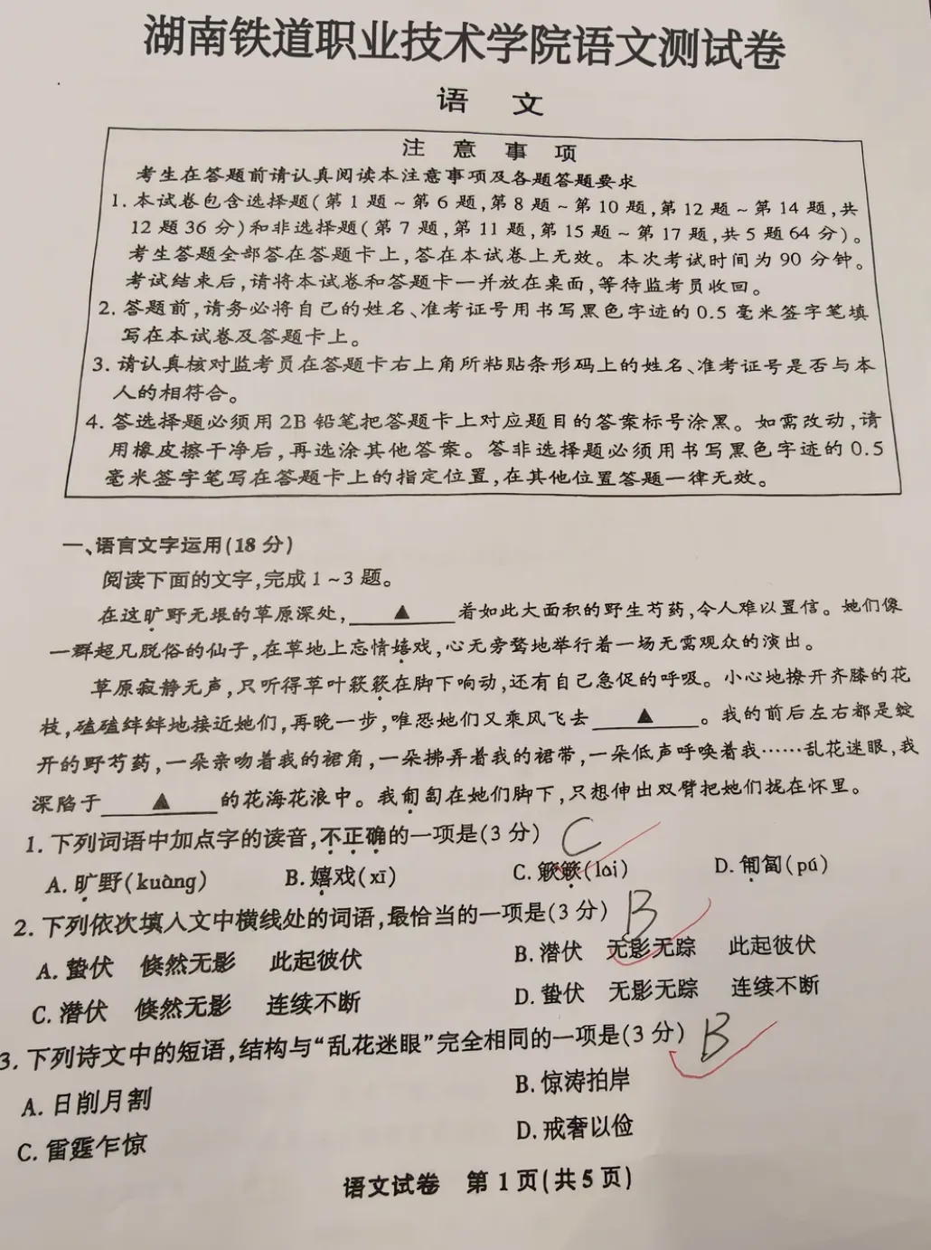 2026湖南铁道职业技术学院单招真题卷--语文-第1张图片-四季读书网
