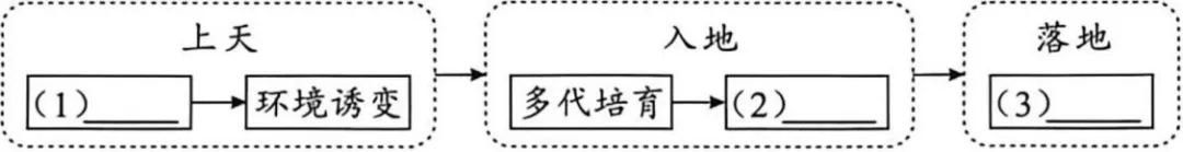 2026中考语文真题2(适合各年级)(真题可多卷重组,用于各种考试)-第5张图片-四季读书网 2026中考语文真题2(适合各年级)(真题可多卷重组,用于各种考试)-第5张图片-四季读书网