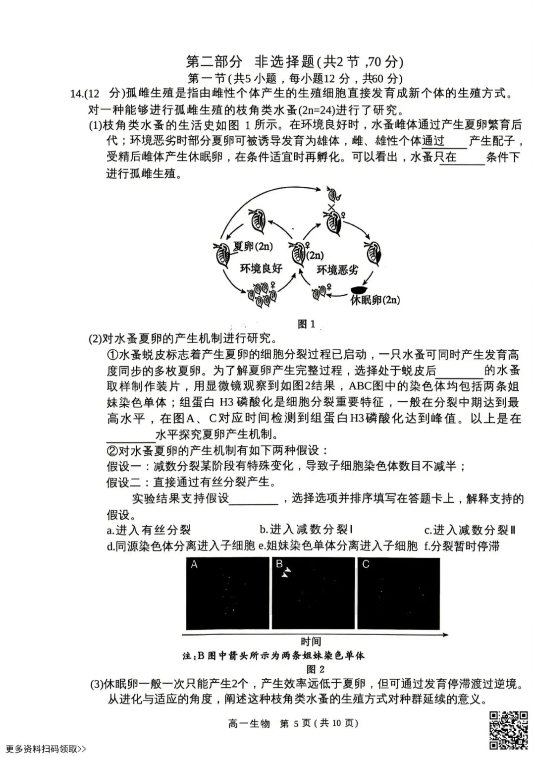 2026北京东城高一(下)期末生物试卷(含答案)-第5张图片-四季读书网 2026北京东城高一(下)期末生物试卷(含答案)-第5张图片-四季读书网