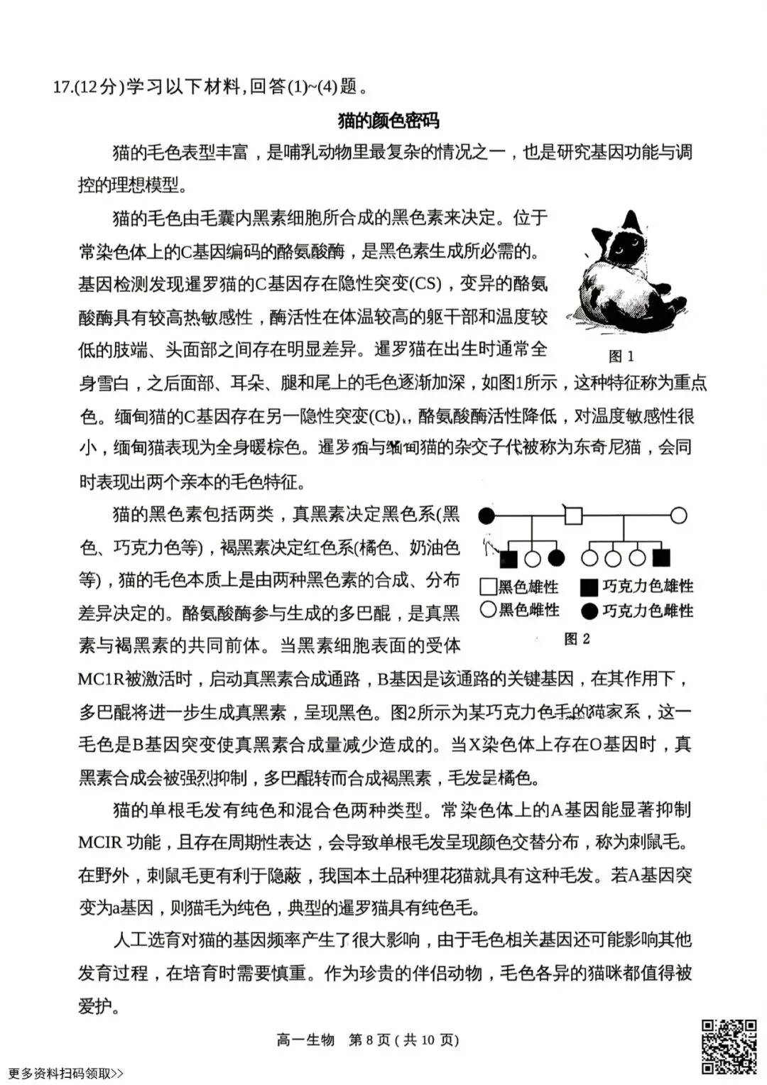 2026北京东城高一(下)期末生物试卷(含答案)-第8张图片-四季读书网 2026北京东城高一(下)期末生物试卷(含答案)-第8张图片-四季读书网