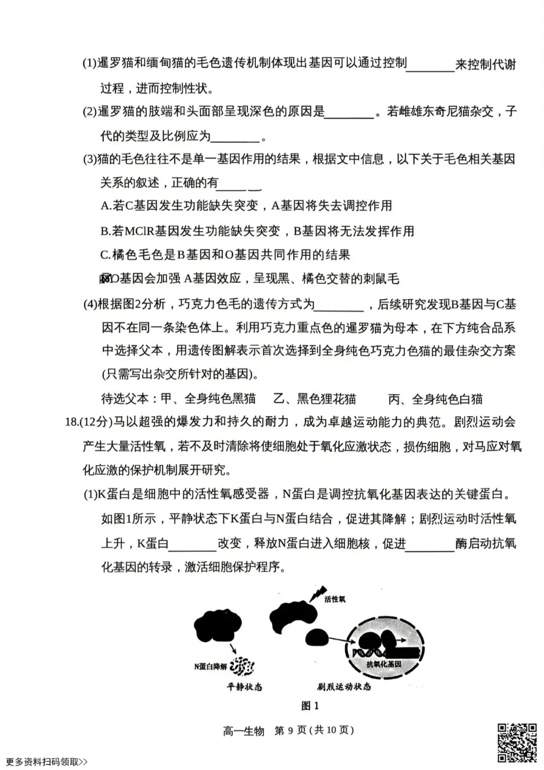 2026北京东城高一(下)期末生物试卷(含答案)-第9张图片-四季读书网 2026北京东城高一(下)期末生物试卷(含答案)-第9张图片-四季读书网