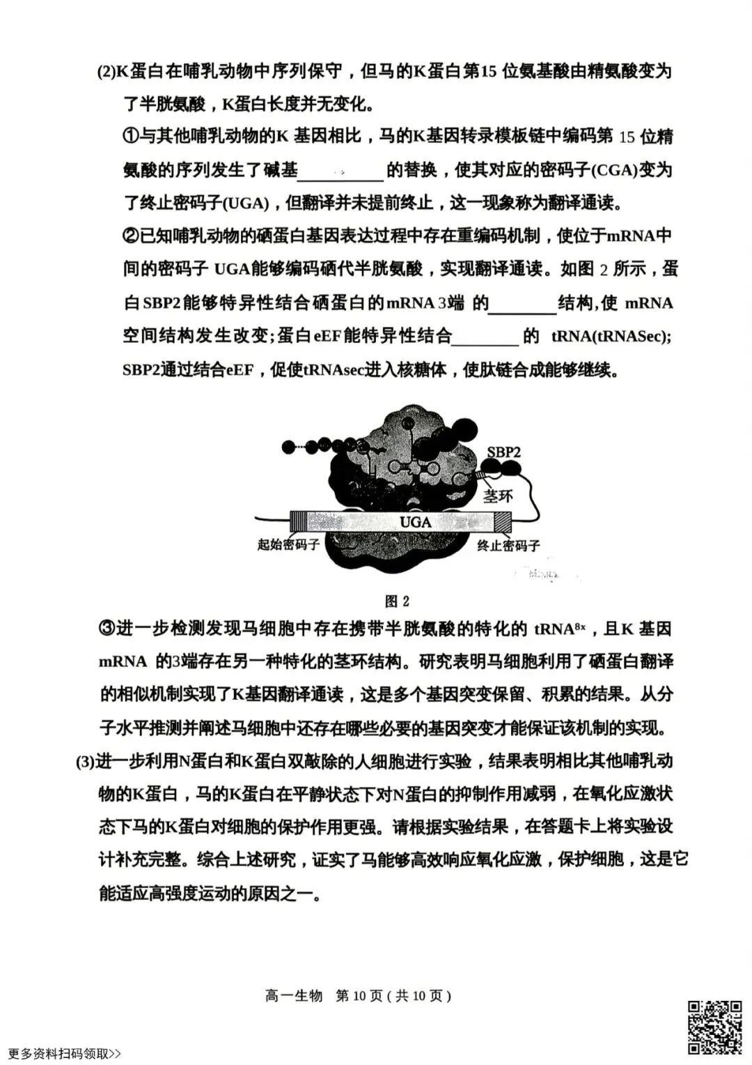 2026北京东城高一(下)期末生物试卷(含答案)-第10张图片-四季读书网 2026北京东城高一(下)期末生物试卷(含答案)-第10张图片-四季读书网