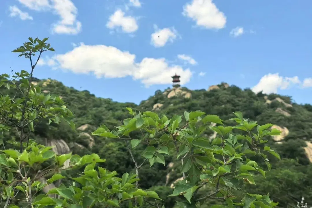 中考可能取消?作为妈妈,你创业和教育孩子是一个思路-第9张图片-四季读书网