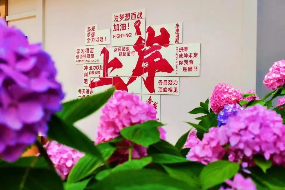 西安中考后,普高、综合高中、职高,家长到底该怎么选?-第18张图片-四季读书网