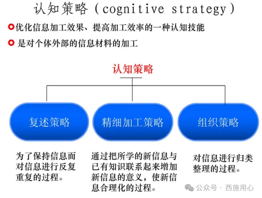 期末 | 【发展与学习心理学】真题回忆&复习资料-第22张图片-四季读书网 期末 | 【发展与学习心理学】真题回忆&复习资料-第22张图片-四季读书网