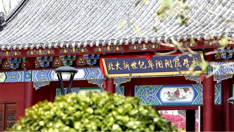 中考500分以下速看!阜阳这个高中开设了AI创新班,逆袭不是梦!-第4张图片-四季读书网 中考500分以下速看!阜阳这个高中开设了AI创新班,逆袭不是梦!-第4张图片-四季读书网
