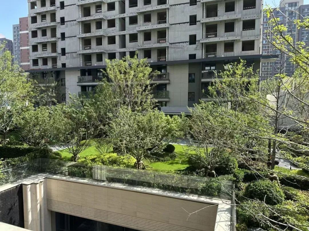 中考填报志愿前的闲聊/济南部分学校中考成绩统计第三波/高新大辛河地块/科技城东新热电厂地块/中海时光之境/隆和府/保利云上璟誉/海尚府-第21张图片-四季读书网 中考填报志愿前的闲聊/济南部分学校中考成绩统计第三波/高新大辛河地块/科技城东新热电厂地块/中海时光之境/隆和府/保利云上璟誉/海尚府-第21张图片-四季读书网