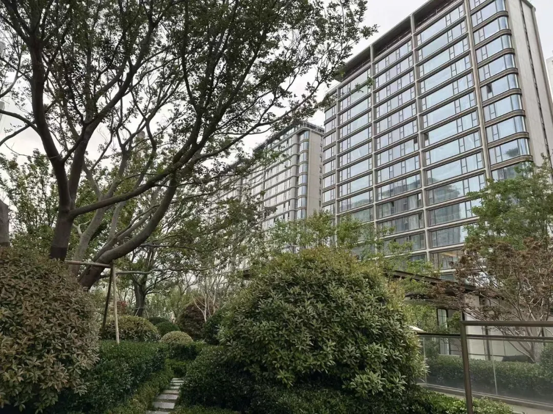 中考填报志愿前的闲聊/济南部分学校中考成绩统计第三波/高新大辛河地块/科技城东新热电厂地块/中海时光之境/隆和府/保利云上璟誉/海尚府-第41张图片-四季读书网 中考填报志愿前的闲聊/济南部分学校中考成绩统计第三波/高新大辛河地块/科技城东新热电厂地块/中海时光之境/隆和府/保利云上璟誉/海尚府-第41张图片-四季读书网