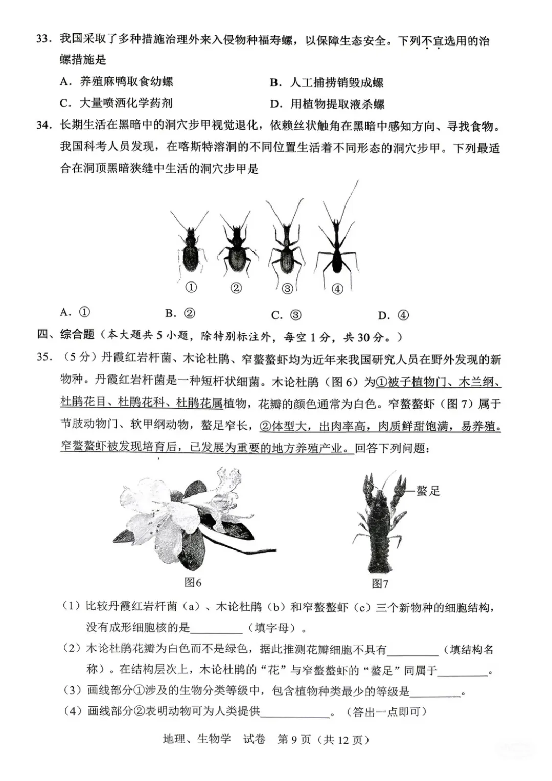 2026年广西中考真题(9科全)-第41张图片-四季读书网
