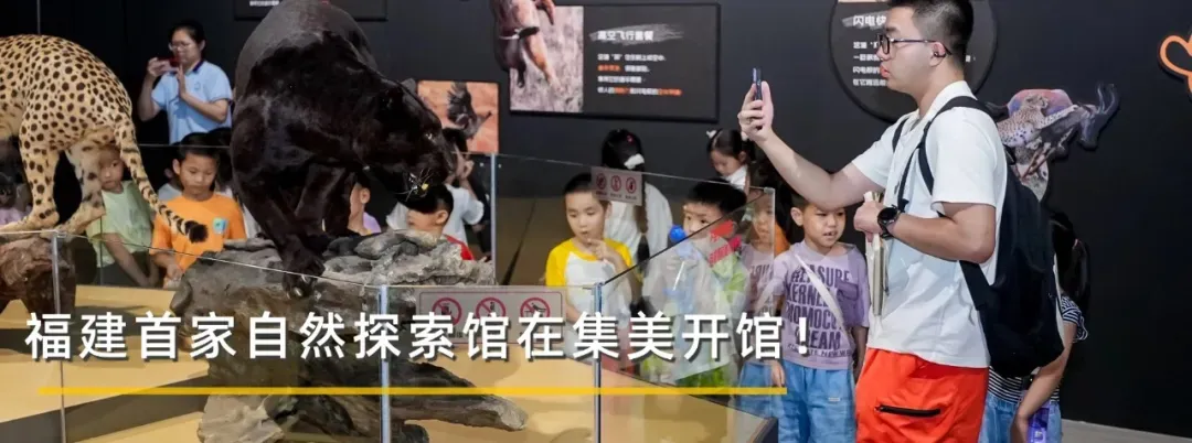 刚刚,厦门公布2026年中考成绩查询时间!查询方式在这-第9张图片-四季读书网 刚刚,厦门公布2026年中考成绩查询时间!查询方式在这-第9张图片-四季读书网