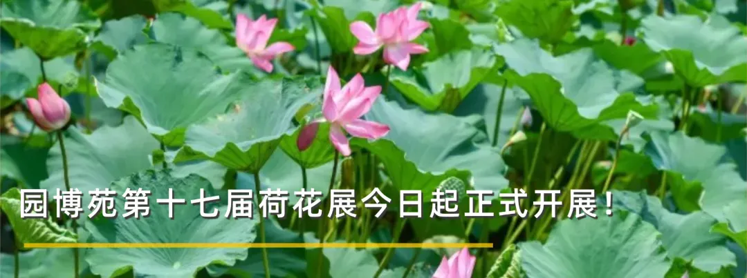 刚刚,厦门公布2026年中考成绩查询时间!查询方式在这-第10张图片-四季读书网 刚刚,厦门公布2026年中考成绩查询时间!查询方式在这-第10张图片-四季读书网