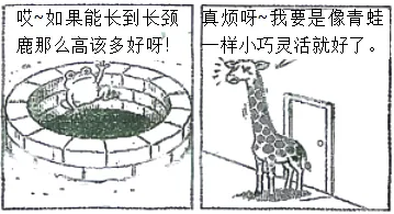 【道法】2026年真题系列:认识自我-第1张图片-四季读书网 【道法】2026年真题系列:认识自我-第1张图片-四季读书网