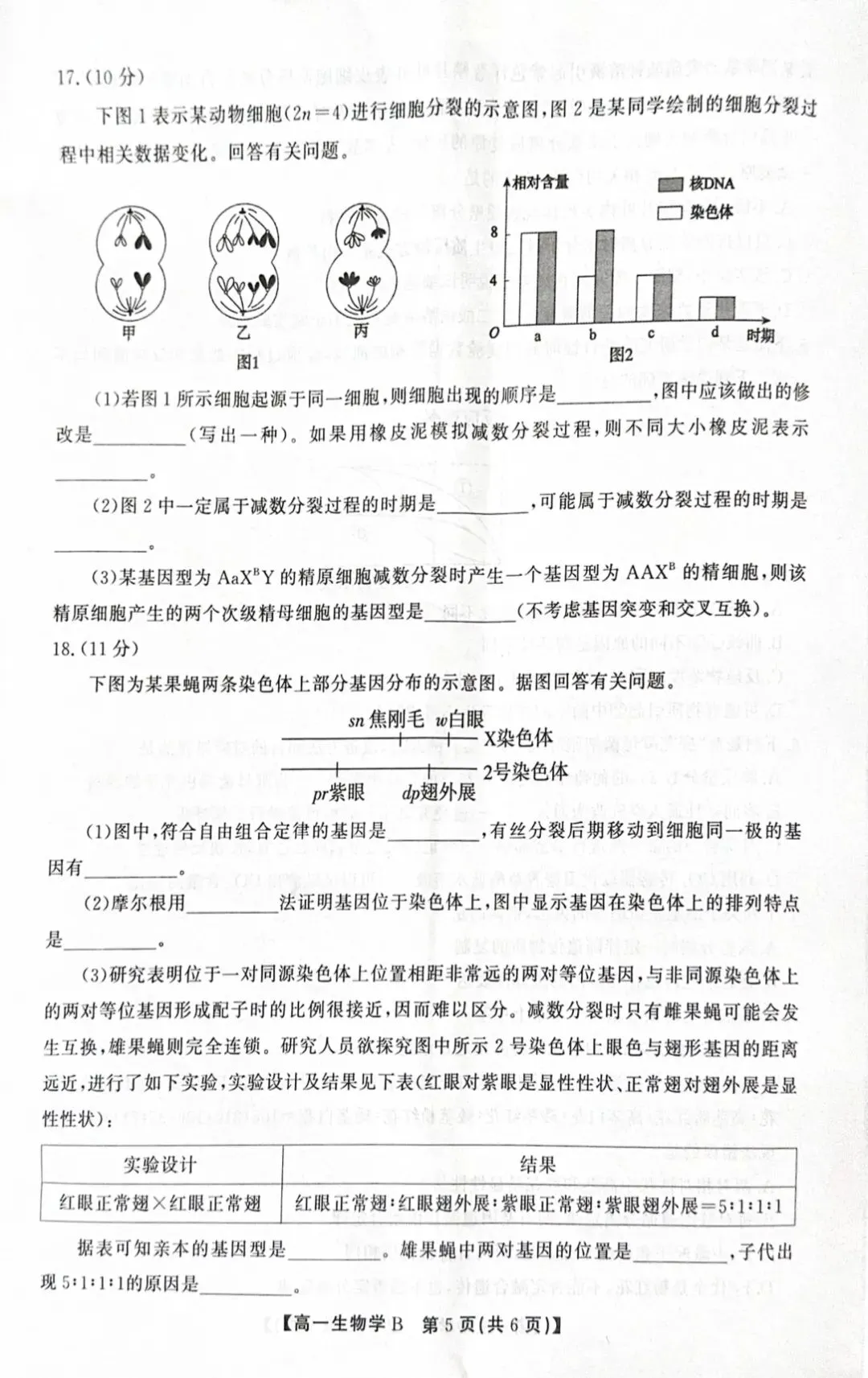 2026年春学期高一期末试卷(必修一到必修二第5章)-第5张图片-四季读书网