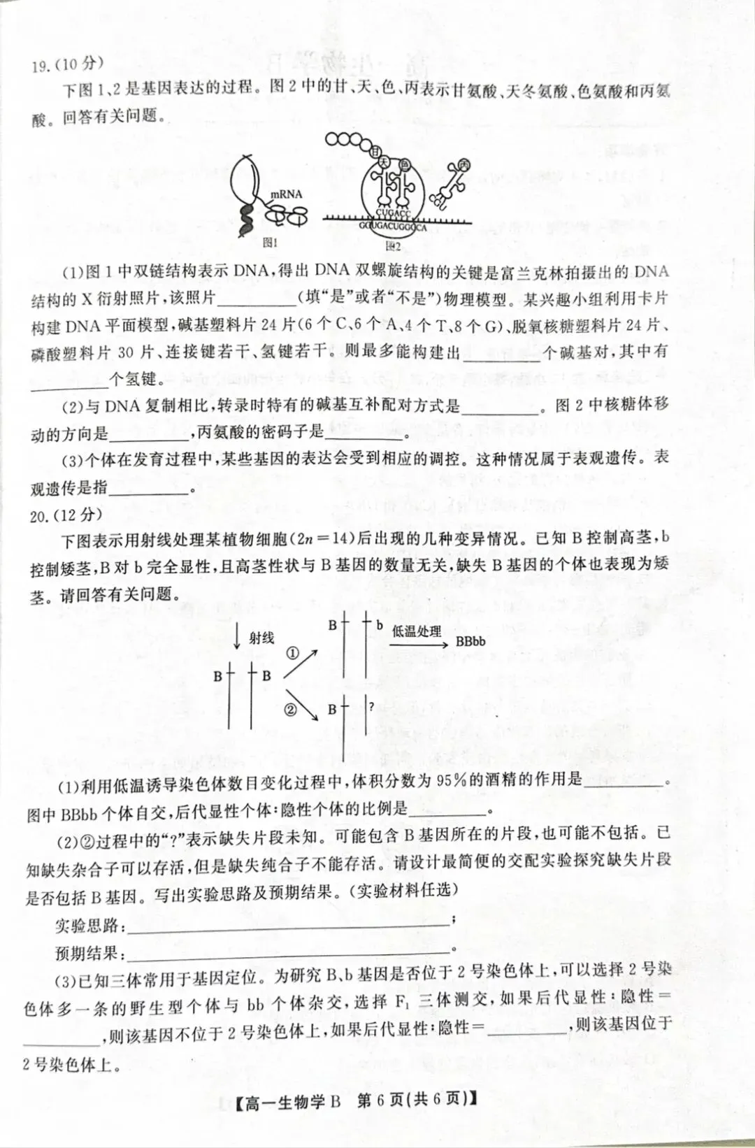 2026年春学期高一期末试卷(必修一到必修二第5章)-第6张图片-四季读书网