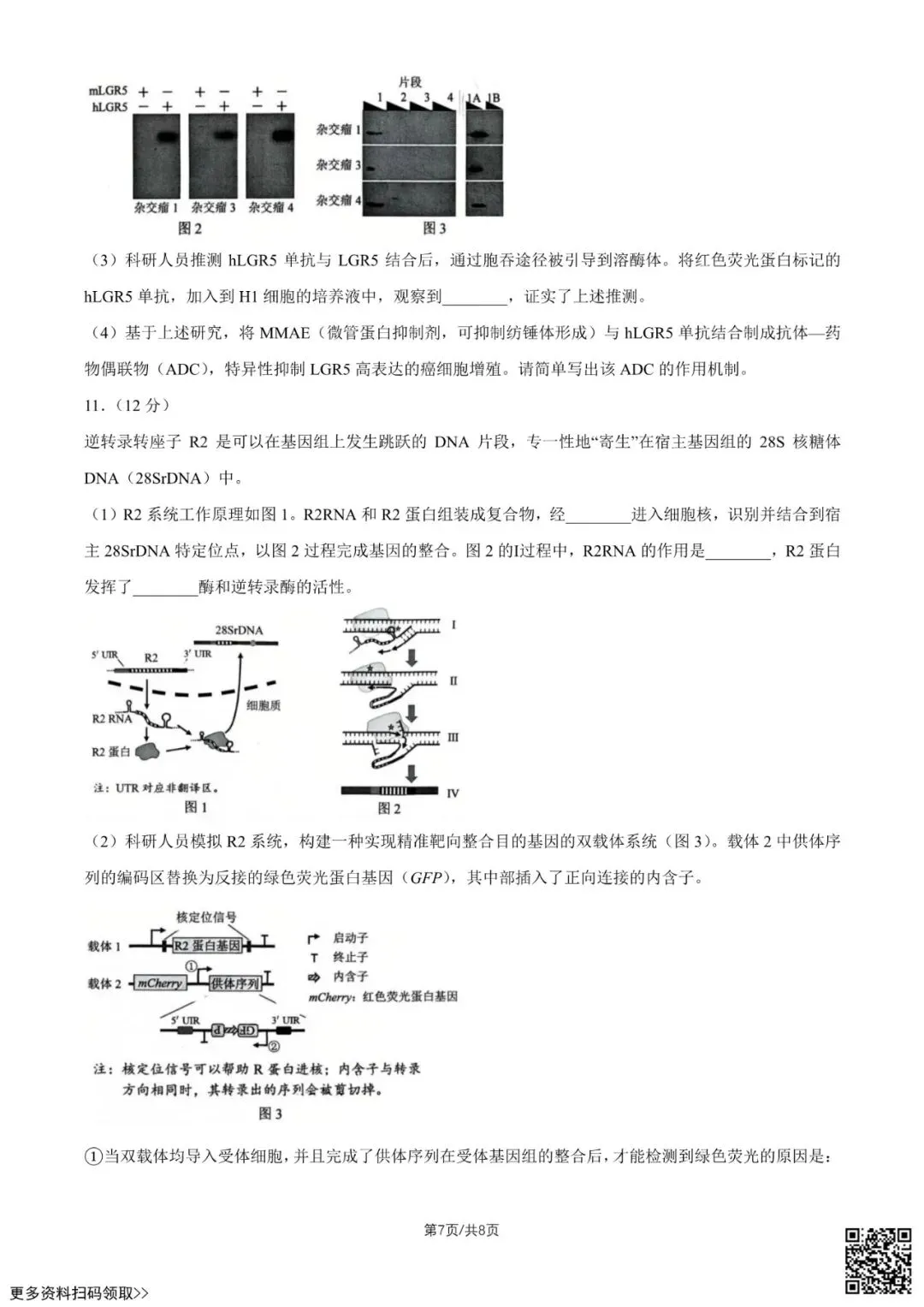 2026北京西城高二(下)期末生物试卷(含答案)-第7张图片-四季读书网