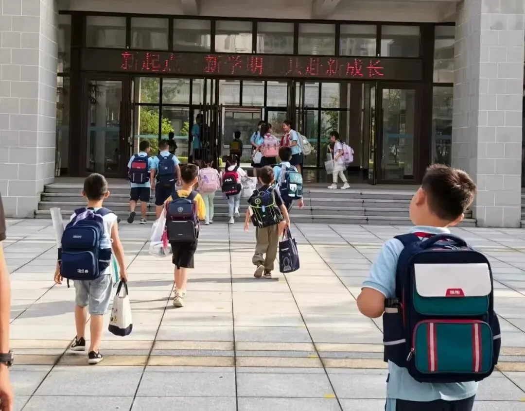 新中考“3+1”板上钉钉,从2027年开始升学规则全变了,影响最大是小学!-第1张图片-四季读书网 新中考“3+1”板上钉钉,从2027年开始升学规则全变了,影响最大是小学!-第1张图片-四季读书网