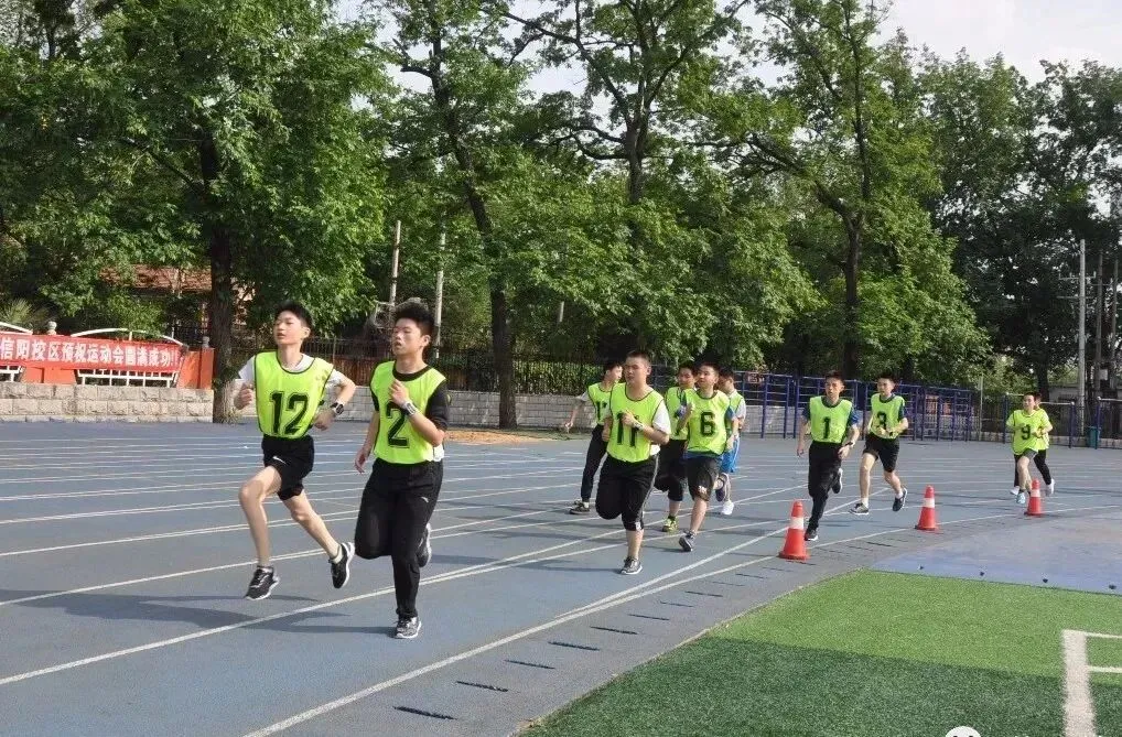 中考体育满分真相:不靠天赋,只靠细节-第4张图片-四季读书网