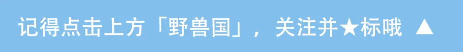 广东中考放榜在即!这套“押中”真题的报纸,暑假必须安排-第1张图片-四季读书网 广东中考放榜在即!这套“押中”真题的报纸,暑假必须安排-第1张图片-四季读书网