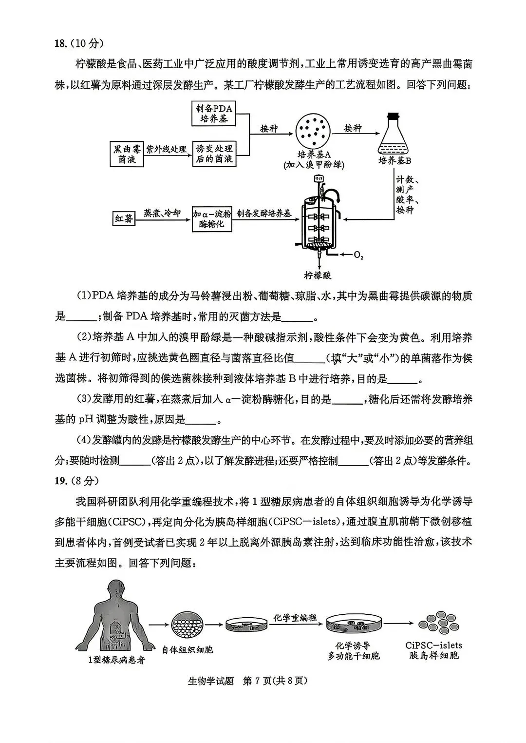 成都2027届零诊考试,九科试卷及参考答案!-第69张图片-四季读书网 成都2027届零诊考试,九科试卷及参考答案!-第69张图片-四季读书网