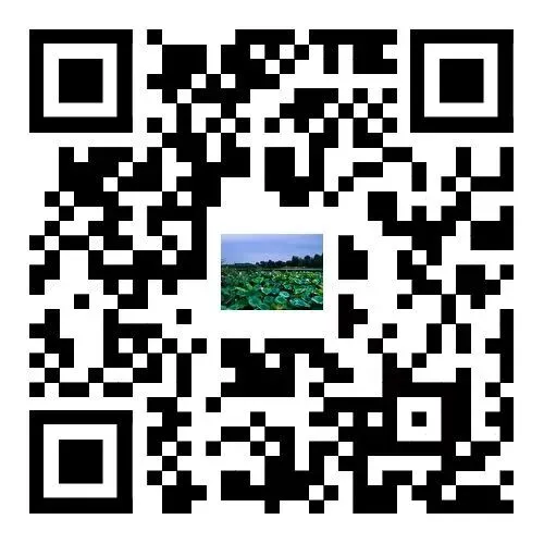 英语试卷好卷好题 词汇整理+试题分析翻译+检测版-第1张图片-四季读书网