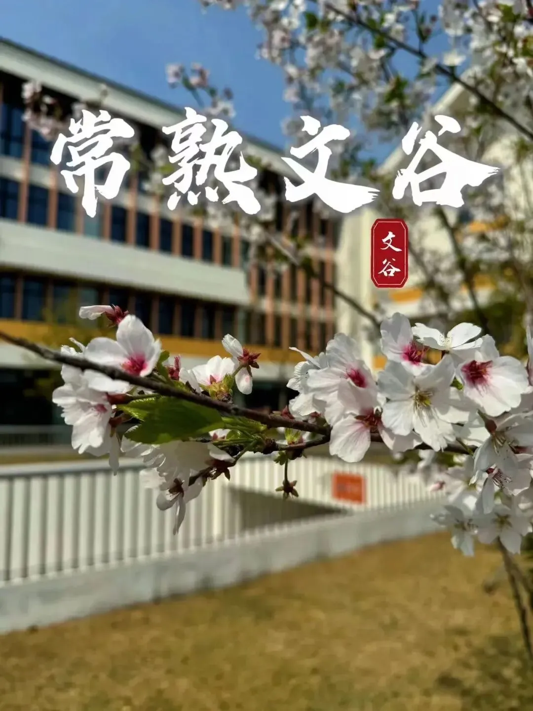 中考滑档≠升学落幕!这所优质职校自主招生仅剩少量名额,助你圆梦大学!-第15张图片-四季读书网 中考滑档≠升学落幕!这所优质职校自主招生仅剩少量名额,助你圆梦大学!-第15张图片-四季读书网