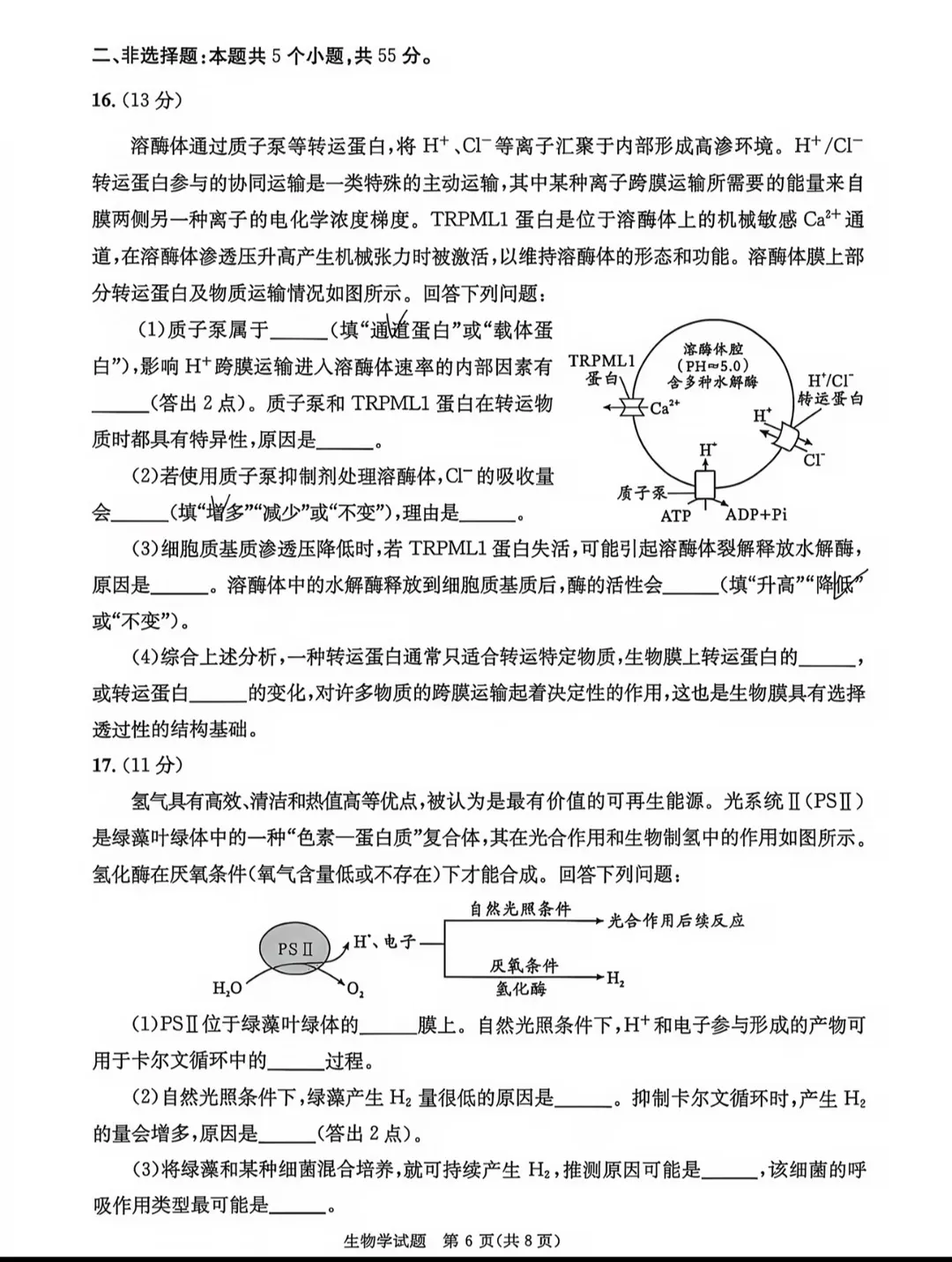 2026年成都零诊全科真题卷及参考答案汇总-第75张图片-四季读书网