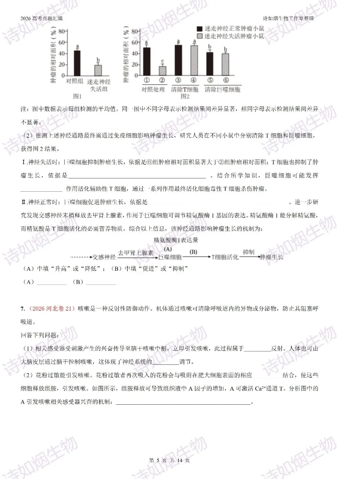 2026高考生物真题汇编----选择性必修一非选择题部分(上)-第5张图片-四季读书网