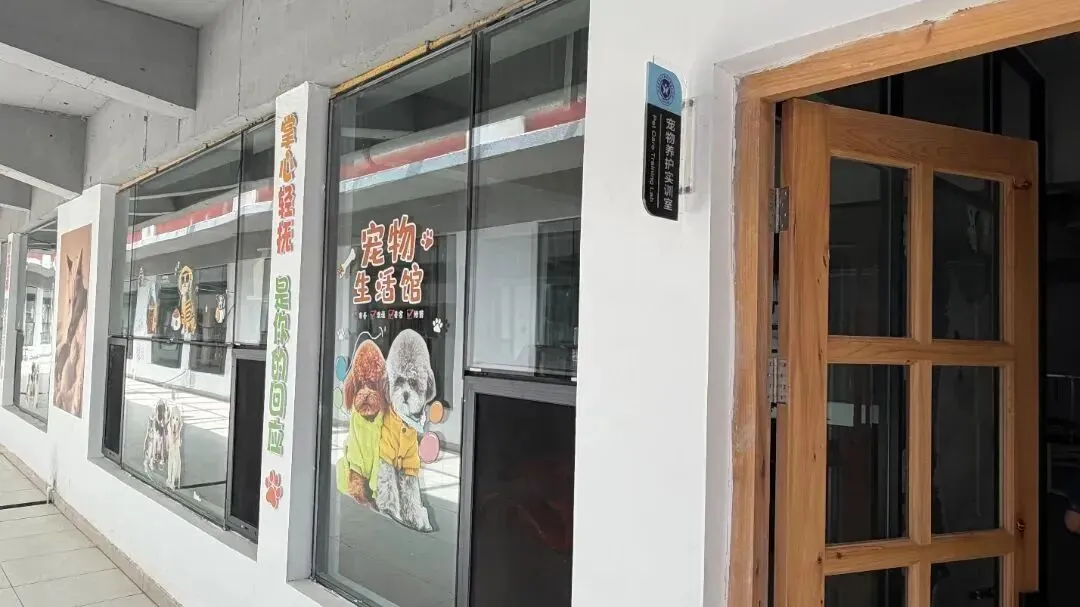 中考分数卡在 300 分左右别乱择校!本周校园开放日实地看清本科升学路径.这几项专属升学政策平时线上根本看不到!-第9张图片-四季读书网 中考分数卡在 300 分左右别乱择校!本周校园开放日实地看清本科升学路径.这几项专属升学政策平时线上根本看不到!-第9张图片-四季读书网